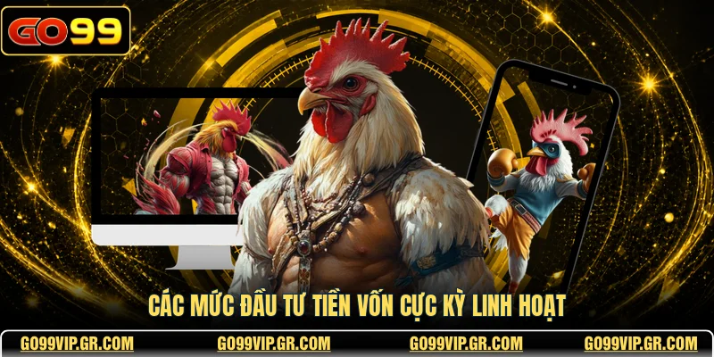 Các mức đầu tư tiền vốn cực kỳ linh hoạt